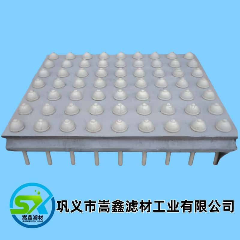 �V��/�������A(y��)�ƞV��