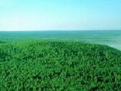 北海經(jīng)濟開發(fā)區(qū)立足鋁產(chǎn)業(yè)集中建成29棟“標(biāo)準(zhǔn)化廠房”