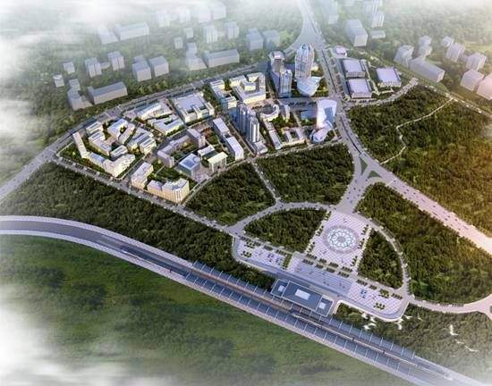 銅陵國家農業科技園區特色農業產業助力鄉村振興加速跑