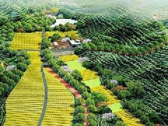 解讀山東“十四五”規劃 這些亮點值得期待