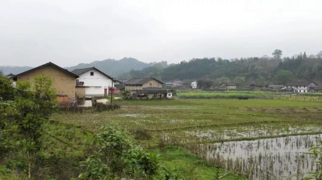 農村土地確權結束，沒登記的四荒地如何處理？