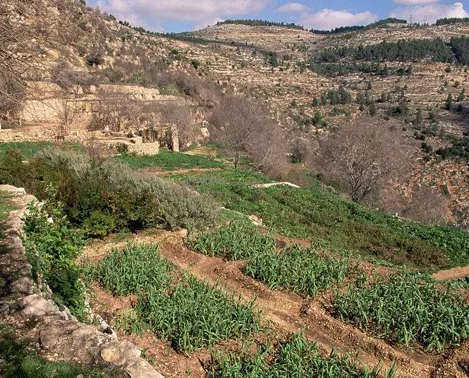 世界生態農業優秀案例