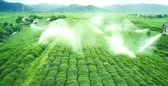 重磅！2019中央一號(hào)文件即將發(fā)布！大農(nóng)業(yè)領(lǐng)域迎來(lái)新機(jī)遇