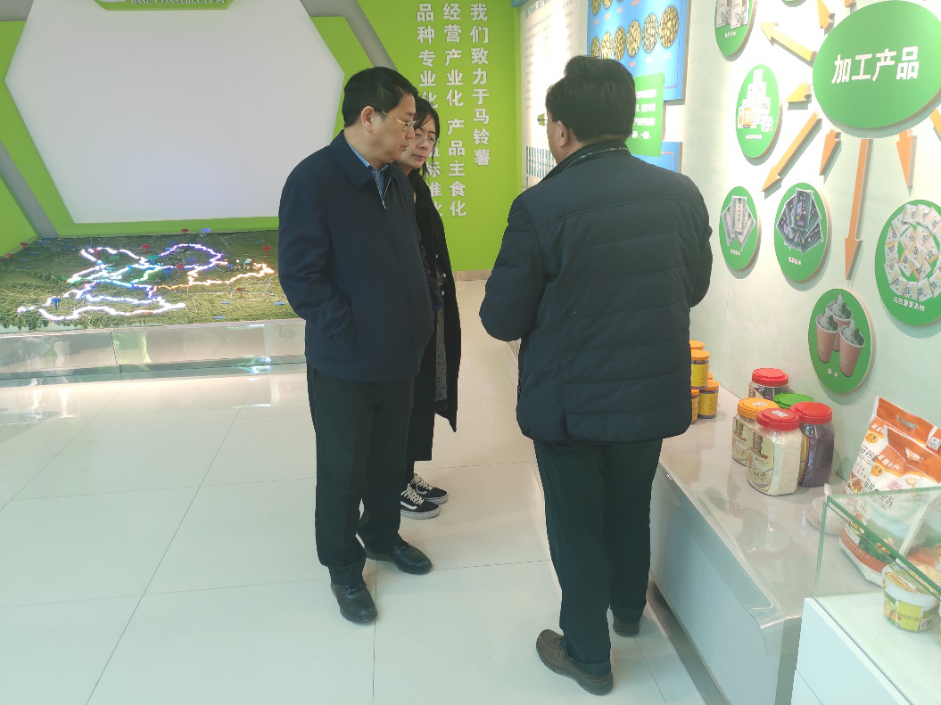 “中國薯都”再奏新旋律,定西市安定區開啟馬鈴薯產業發展新篇章