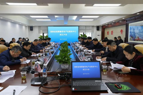 湘雁輸變電產(chǎn)業(yè)服務中心在長沙成立,湖南輸變電產(chǎn)業(yè)開啟發(fā)展新篇章