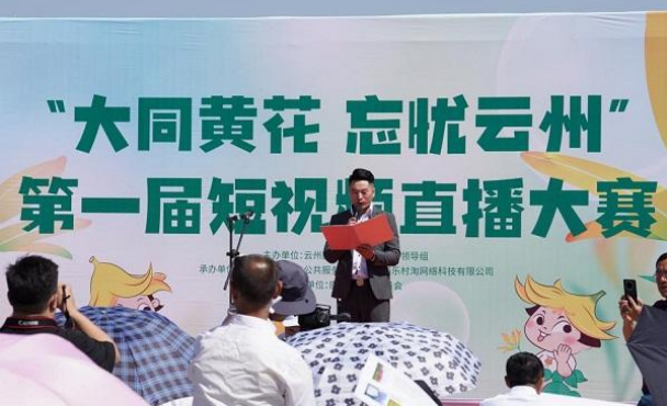 奮進新征程，建功新時代 ——云州積極推進國家鄉村振興示范縣創建