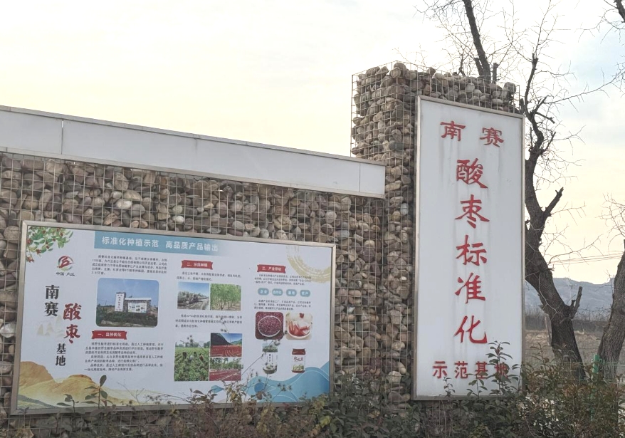 大盈之地，寶藏內丘—我院專家組走進太行山 酸棗之鄉調研